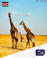 Kenya eSIM Plans - Roamight